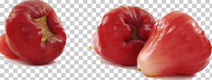 Java Apple Common Guava Syzygium Jambos Eating PNG, Clipart, Bell Pepper, Chili Pepper, Food, Fruit, Fruit Nut Free PNG Download