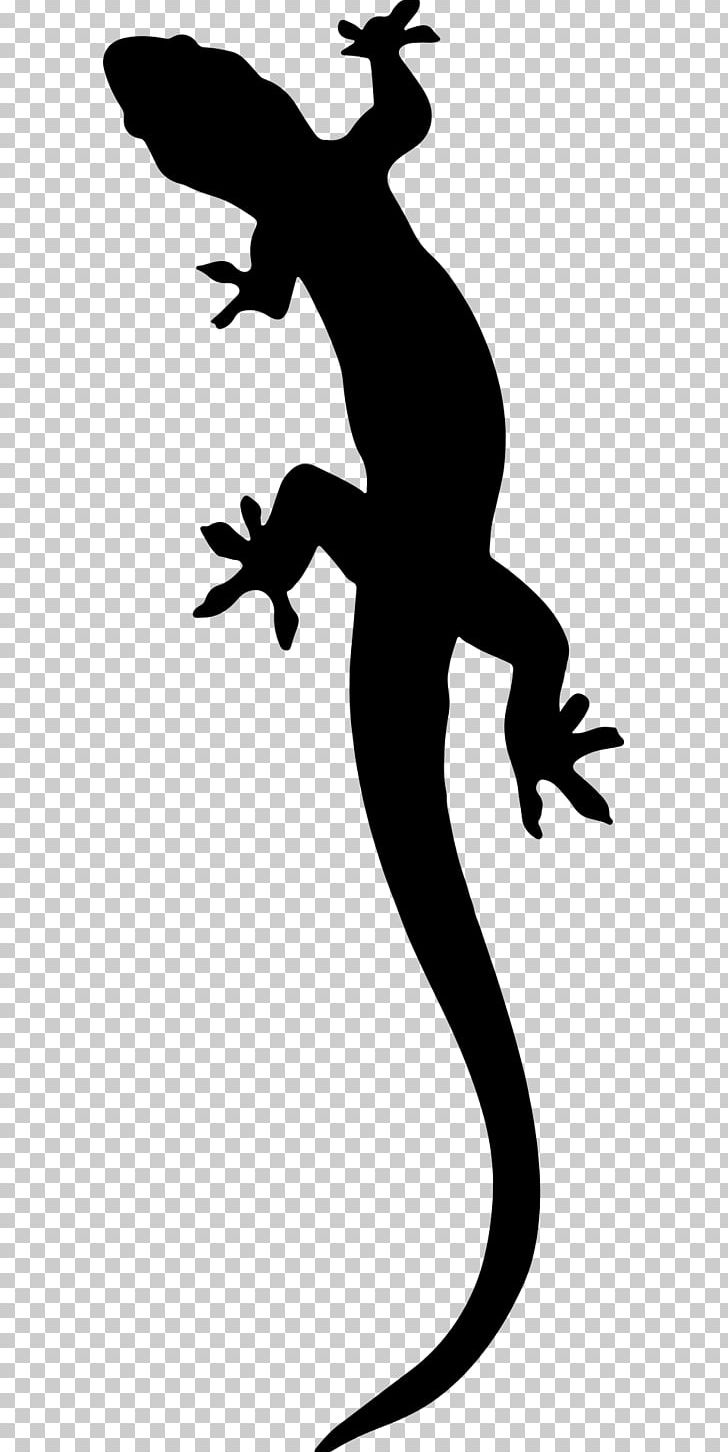 Salamander Lizard PNG, Clipart, Alpine Salamander, Animal, Animals, Black And White, Drawing Free PNG Download