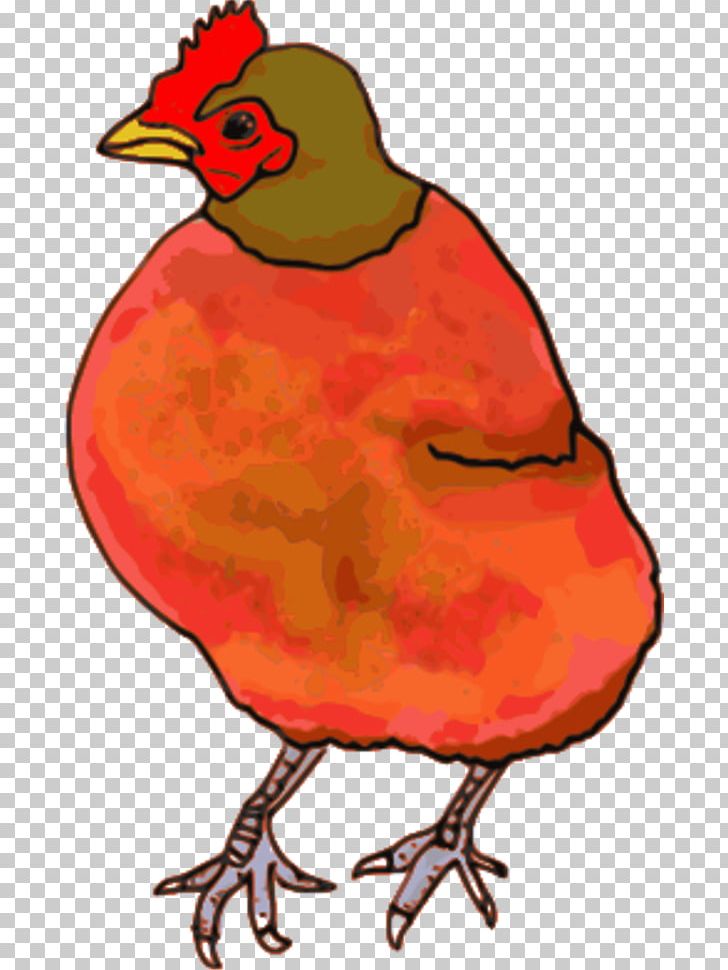 Chicken The Little Red Hen Coloring Book PNG, Clipart, Animals, Artwork, Beak, Bird, Chicken Free PNG Download
