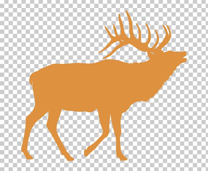 Elk Deer PNG, Clipart, Animals, Antler, Art, Deer, Drawing Free PNG Download