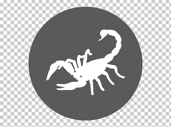 Scorpion Astrological Sign Horoscope Zodiac PNG, Clipart, Arachnid, Aries, Arthropod, Ascendant, Astrological Sign Free PNG Download