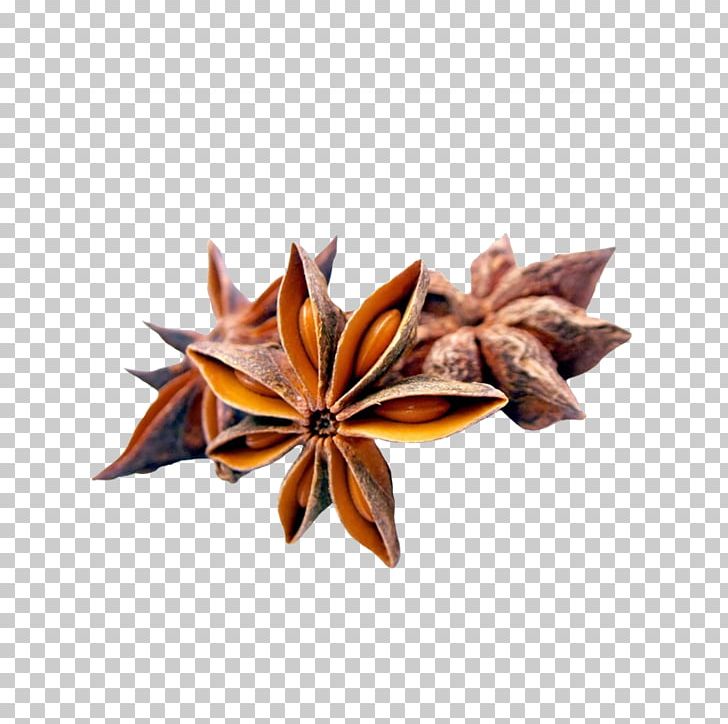 Spice Star Anise Tea Liquorice PNG, Clipart, Ani, Anise, Chili, Colic, Curry Free PNG Download