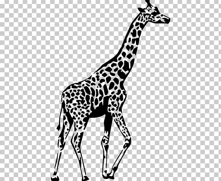 Wall Decal Sticker Giraffe PNG, Clipart, Animals, Black And White, Decal, Decorative Arts, Fauna Free PNG Download