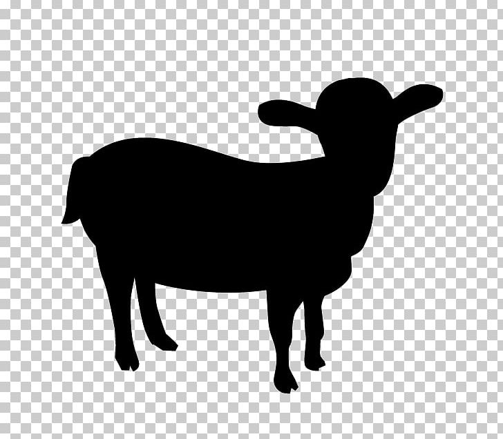 Boer Goat Feral Goat Cattle Mountain Goat PNG, Clipart, Agriculture, Animals, Animal Silhouette, Black And White, Boer Goat Free PNG Download