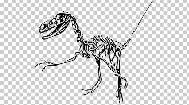 Fukui Kōchi Prefecture Velociraptor Skipjack Tuna ミレービスケット PNG, Clipart, Apple, Art, Black And White, Carnivoran, Dinosaur Free PNG Download
