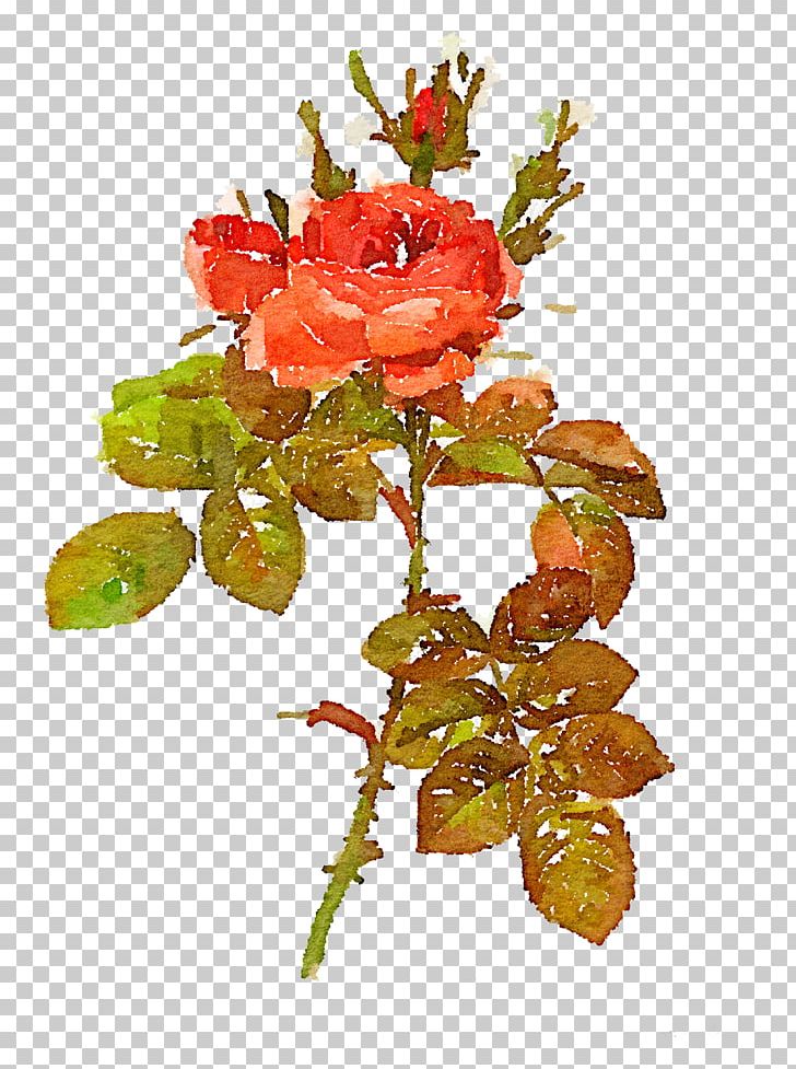 Pierre-Joseph Redoutxe9 (1759-1840) Les Liliacxe9es Damask Rose Artist Printmaking PNG, Clipart, Branch, Flower, Flower Arranging, Flowers, Fruit Free PNG Download