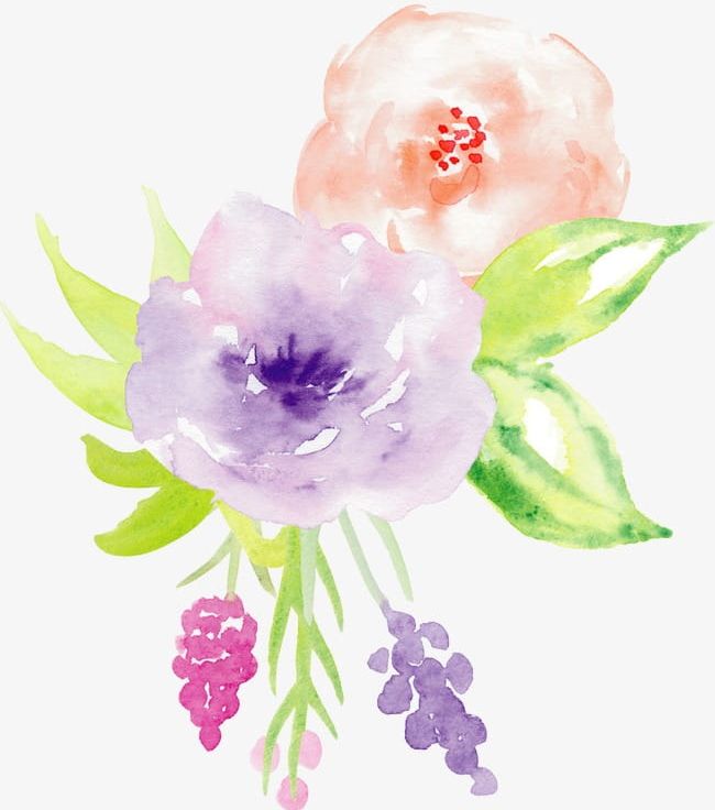 Hand-painted Watercolor Roses Decorative Elements PNG, Clipart, Creative, Creative Design, Decorative Clipart, Design, Elements Free PNG Download