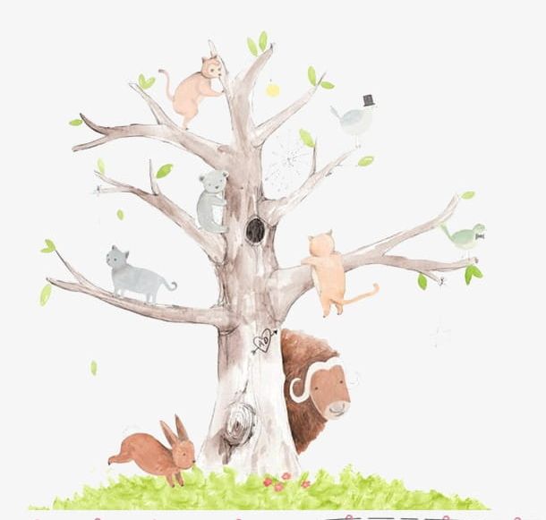 Beautiful Hand-drawn Illustration Forest Department PNG, Clipart, Animal, Animals, Beautiful Clipart, Branch, Department Clipart Free PNG Download