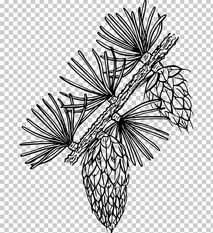 Line Art Flower PNG, Clipart, Art, Artwork, Black And White, Branch, Download Free PNG Download