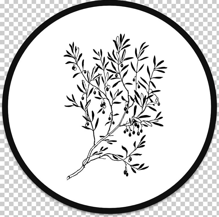 Olive Branch Computer Icons PNG, Clipart, Abilene, Area, Art, Black And White, Branch Free PNG Download