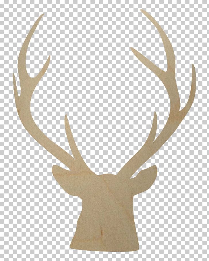 White-tailed Deer Elk Moose Reindeer PNG, Clipart, Animals, Antler, Art, Deer, Deer Antler Free PNG Download