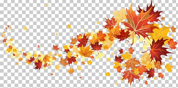 Autumn Leaf Color PNG, Clipart, Autumn, Autumn Leaf Color, Branch, Computer Wallpaper, Download Free PNG Download