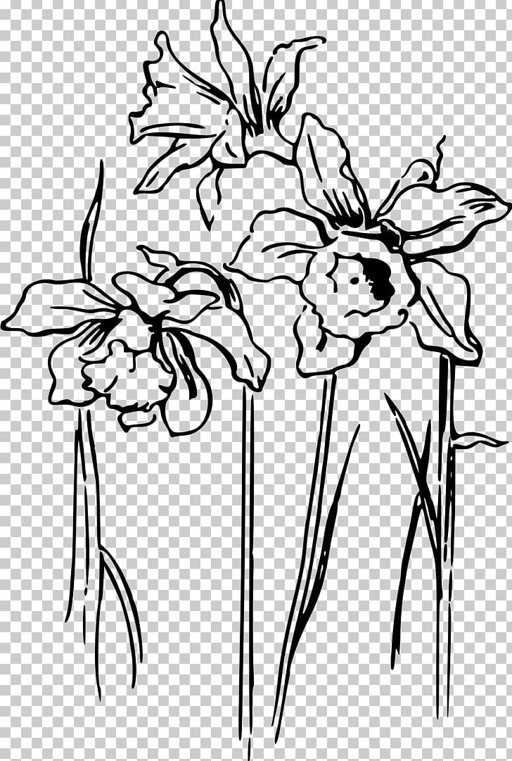 Daffodil Drawing PNG, Clipart, Art, Artwork, Black, Black And White, Branch Free PNG Download