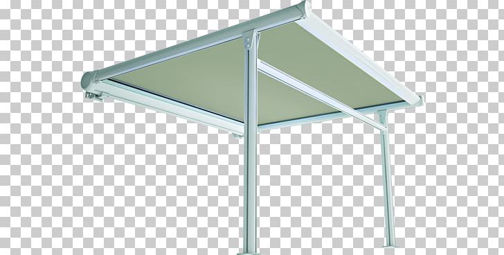 Awning Window Retractable Roof System PNG, Clipart, Albatross, Angle, Animals, Awning, Curtain Free PNG Download