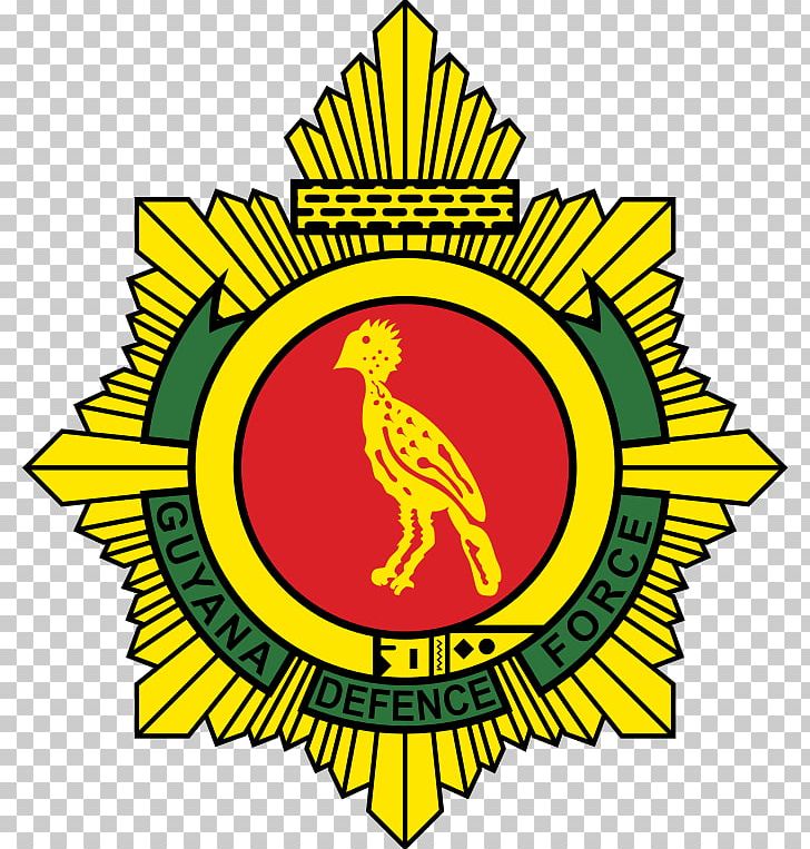 Guyana Defence Force FC Defence Force F.C. Georgetown GFF Elite League PNG, Clipart, Area, Army Officer, Artwork, Beak, Caribbean Club Championship Free PNG Download