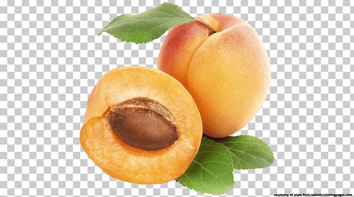 Apricot Fruit Battenberg Cake Food PNG, Clipart, Almond, Apricot, Auglis, Battenberg Cake, Diet Food Free PNG Download