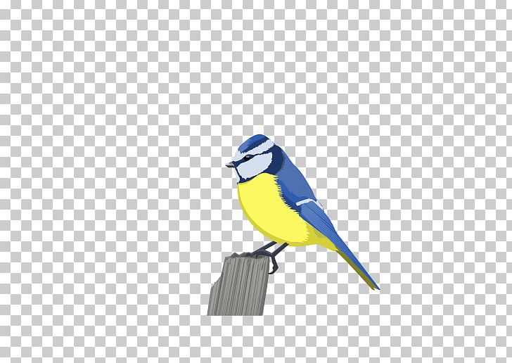 Bird Eurasian Blue Tit Eurasian Bullfinch PNG, Clipart, Animals, Beak, Bird, Bird Nest, Bluebird Free PNG Download