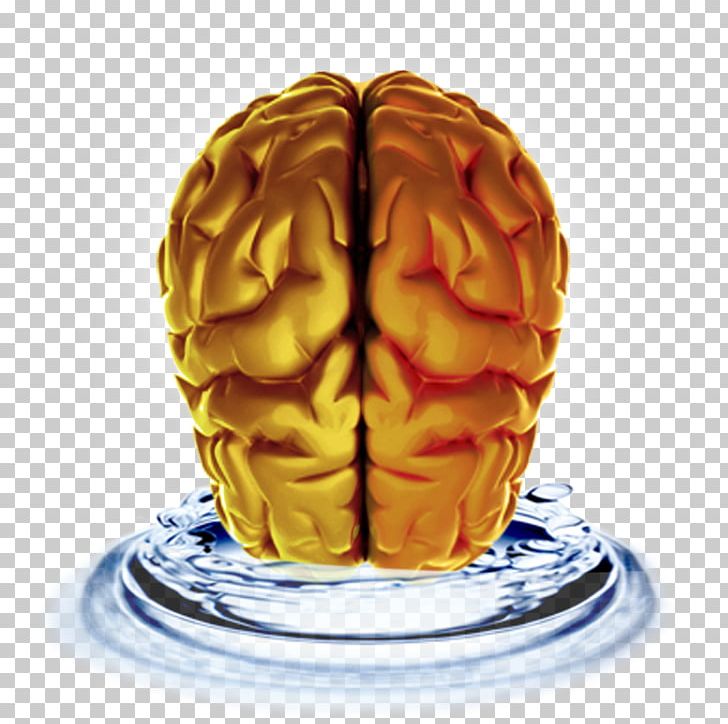 Brain Dietary Supplement Memory Neurology Alertness PNG, Clipart, Alertness, Brain, Brainwash, Control, Dietary Supplement Free PNG Download
