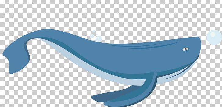 Furniture Marine Mammal PNG, Clipart, Angle, Animal, Animals, Beluga Vector, Beluga Whale Free PNG Download