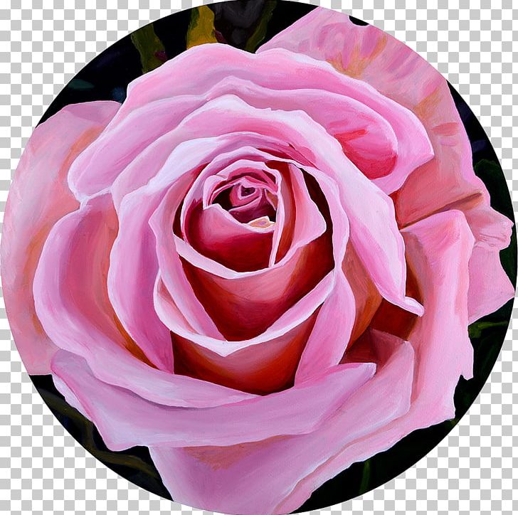 Garden Roses Graphic Arts Oil Painting PNG, Clipart, Art, Bud, Centifolia Roses, Cut Flowers, Floribunda Free PNG Download