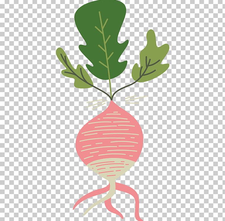 Vegetable Euclidean PNG, Clipart, Agriculture, Artworks, Branch, Bunch Of Carrots, Carrot Free PNG Download