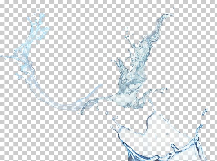 Water Resources Map Tuberculosis PNG, Clipart, Branch, Map, Organism, Travel World, Tree Free PNG Download