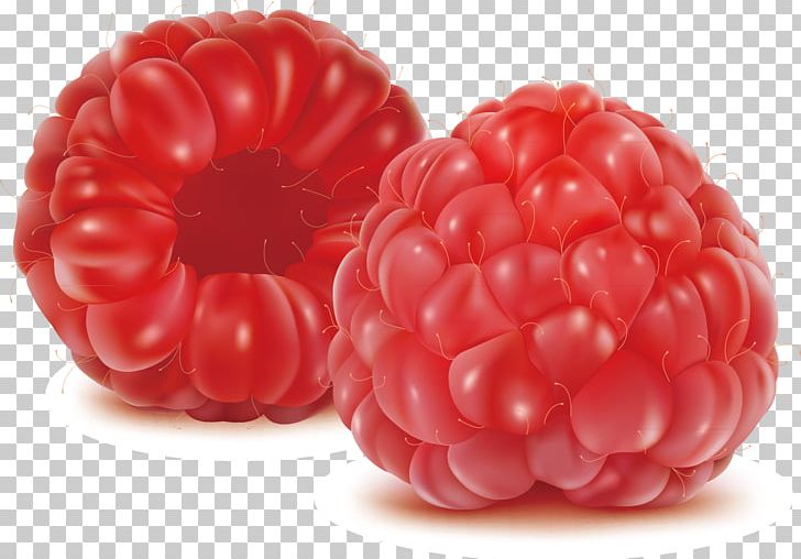 Berry Fruit Drawing Illustration PNG, Clipart, Christmas Decoration, Decor, Decoration Design, Decorative, Food Free PNG Download