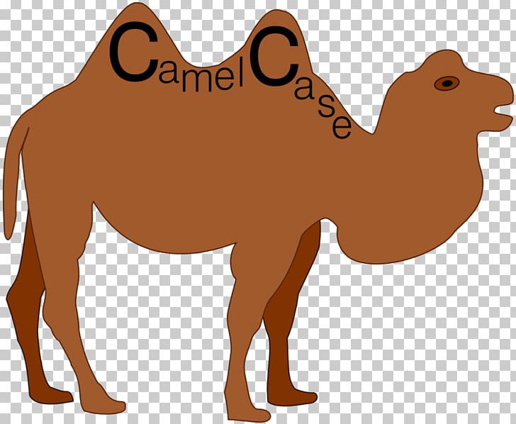 Camel Case Letter Case Naming Convention Snake Case Capitalization PNG, Clipart, Animals, Arabian Camel, Camel, Camel Case, Camel Like Mammal Free PNG Download