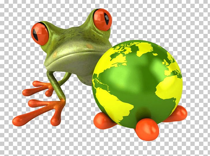 Glass Frog Portable Network Graphics Stock Photography PNG, Clipart, Amphibian, Animals, Australian Green Tree Frog, Frog, Fruit Free PNG Download