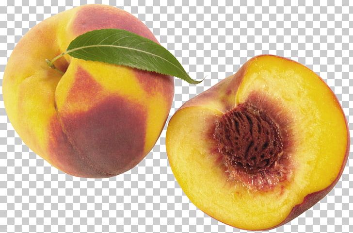 Nectarine Fruit Food Vegetable Apricot PNG, Clipart, Cartoon, Drawing, Food, Free, Fruit Free PNG Download