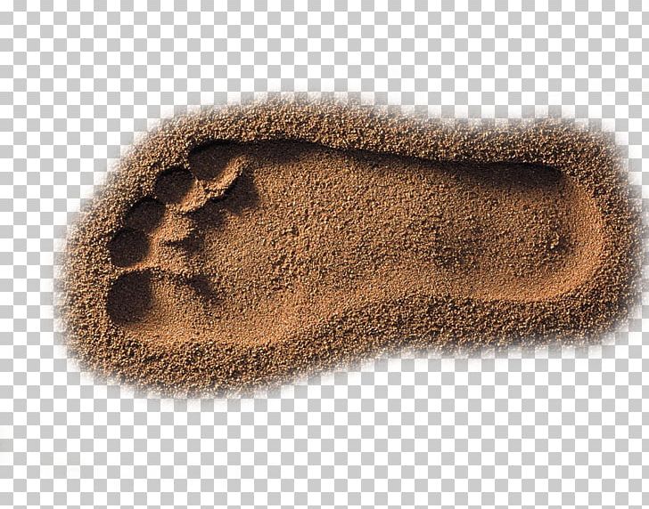 Beach Sand PNG, Clipart, Adobe Illustrator, Animal Track, Beach, Beaches, Beach Footprints Free PNG Download