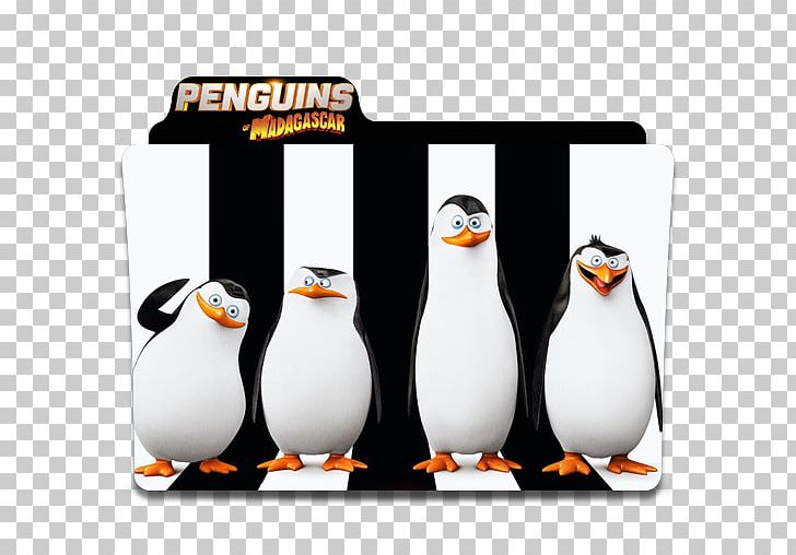 Kowalski Madagascar DreamWorks Animation Film Computer Icons PNG, Clipart, Animation, Beak, Bird, Cartoon, Computer Icons Free PNG Download
