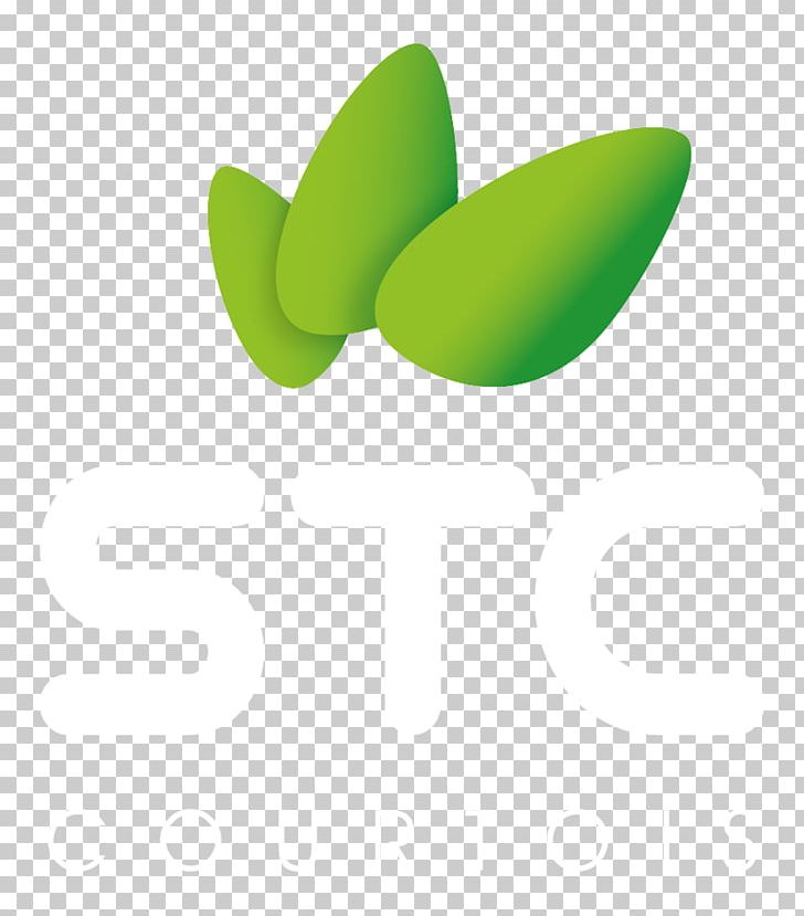 Logo Desktop Computer Font PNG, Clipart, Computer, Computer Wallpaper, Courtois, Desktop Wallpaper, Green Free PNG Download