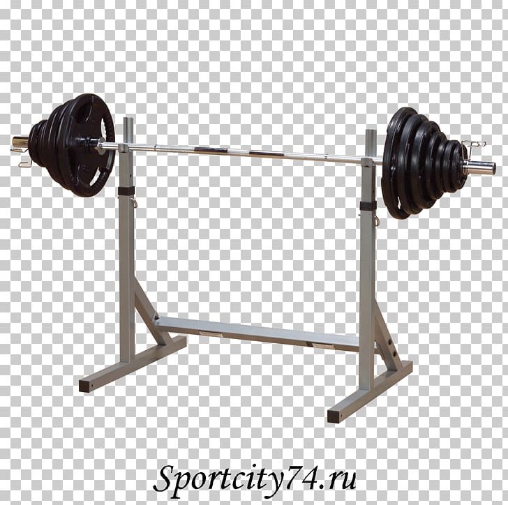 Power Rack Squat Weight Training Bench Press Fitness Centre PNG, Clipart, Barbell, Bench, Bench Press, Biceps Curl, Dumbbell Free PNG Download