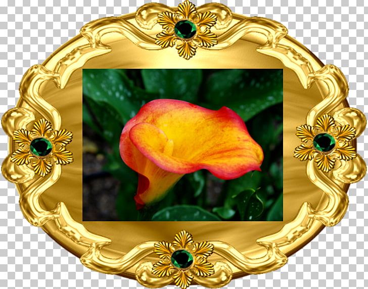 Arum-lily Vascular Plant Blog .net PNG, Clipart, 2018, Arumlily, Blog, Brooch, Calla Free PNG Download
