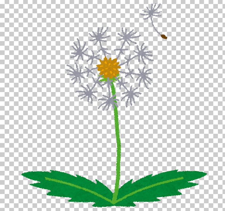 Child Dandelion Japan Hotel Family PNG, Clipart, Cancer, Cherry Blossom, Child, Daisy, Daisy Family Free PNG Download