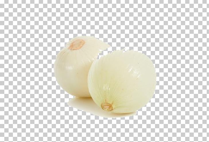 Organic Food Shallot White Onion PNG, Clipart, Background White, Black White, Download, Food, Health Free PNG Download