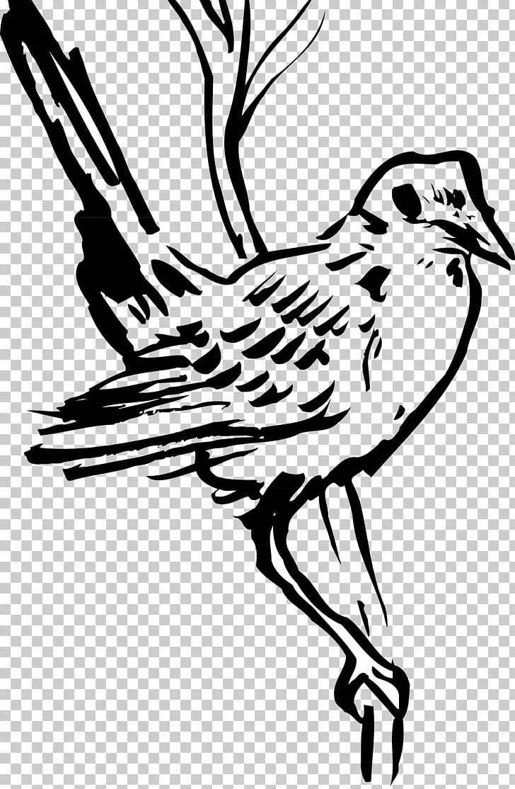 Bird Wing Beak Feather PNG, Clipart, Animals, Art, Artwork, Beak, Bird Free PNG Download