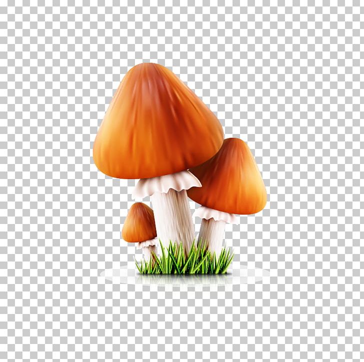 Cartoon Poster Mushroom PNG, Clipart, Art, Cartoon, Cartoon Mushrooms, Comics, Computer Wallpaper Free PNG Download