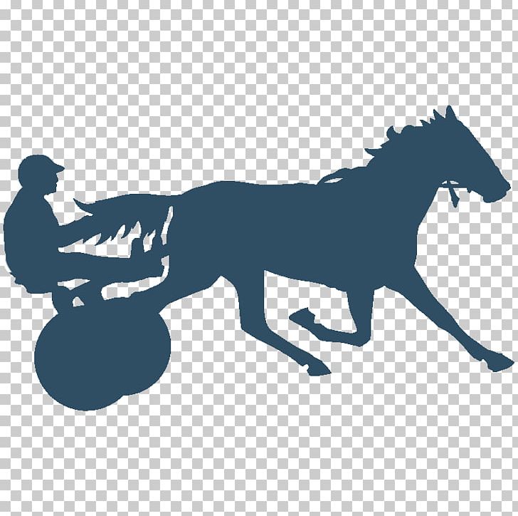 Mustang Pony Mane Stallion Colt PNG, Clipart, Canidae, Carnivoran, Colt, Dog, Dog Like Mammal Free PNG Download