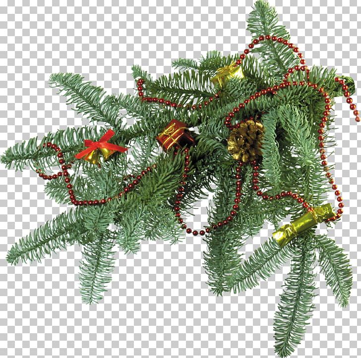 New Year Tree Christmas Ornament Fir PNG, Clipart, Biome, Branch, Christmas, Christmas Decoration, Christmas Ornament Free PNG Download