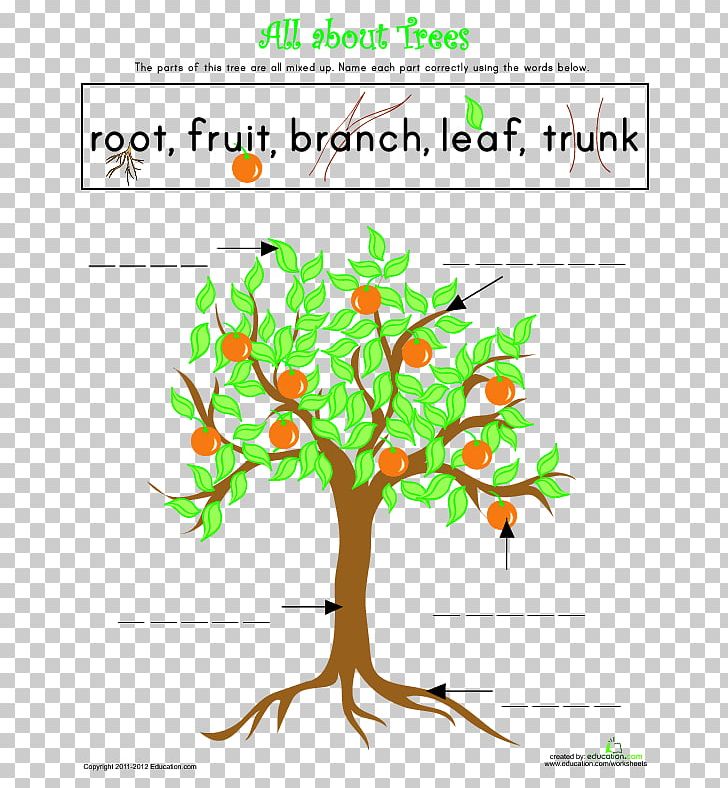 How Do You Draw A Tree Diagram