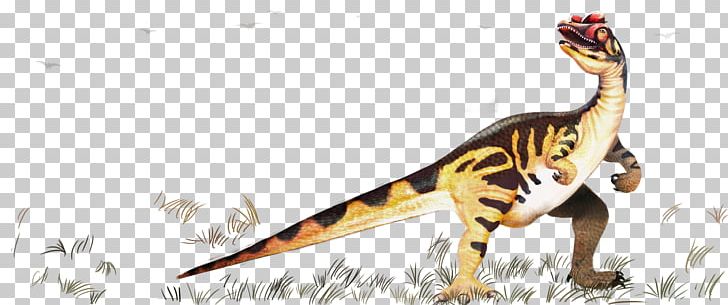 Velociraptor Tyrannosaurus Prehistory Dinosaur PNG, Clipart, Abstract Pattern, Bizi Prehistoriko, Creatures, Euclidean Vector, Extinction Free PNG Download