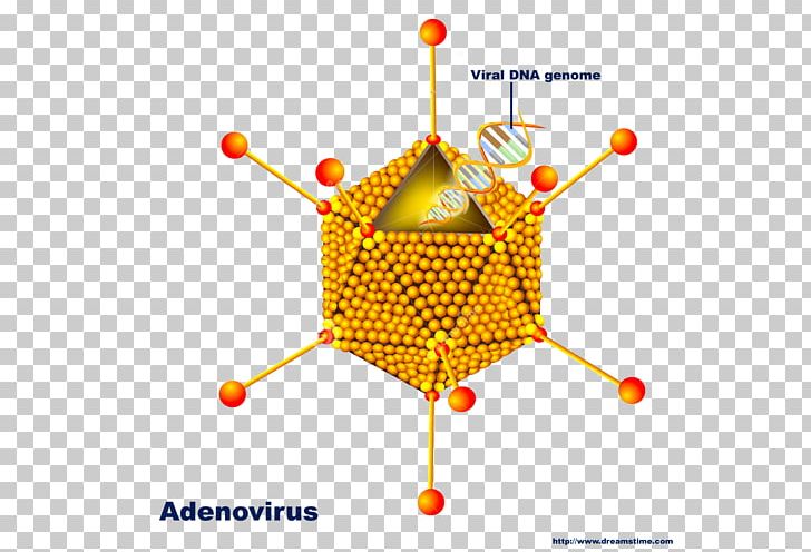 Adenoviruses Pharyngitis Adeno-associated Virus PNG, Clipart, Adenoassociated Virus, Adenovirus Infection, Area, Chickenpox, Double Helix Free PNG Download