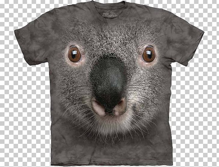 T-shirt Koala Bear Australia PNG, Clipart, Australia, Baby Koala, Bear, Child, Clothing Free PNG Download