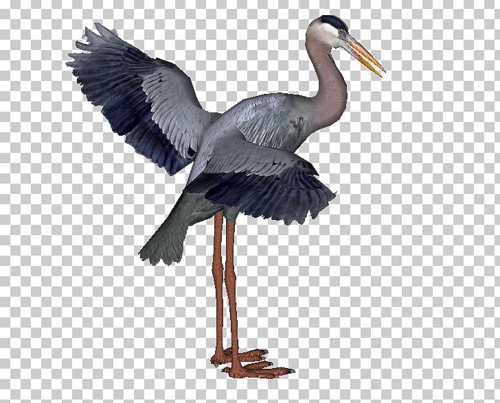 Great Blue Heron White Stork PNG, Clipart, Beak, Bird, Ciconiiformes, Crane, Crane Like Bird Free PNG Download
