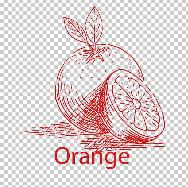 Hand Drawn Fruits PNG, Clipart, Brand, Cartoon, Circle, Clip Art, Computer Graphics Free PNG Download