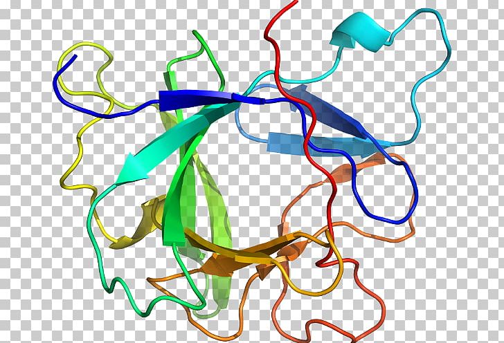 Line Point Organism PNG, Clipart, Art, Artwork, Circle, Interleukin 1 Receptor Type I, Line Free PNG Download