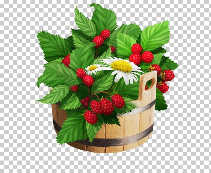 Strawberry Raspberry Decorative Borders Varenye PNG, Clipart, Berry, Blackberry, Boysenberry, Cilek, Cilek Resimleri Free PNG Download