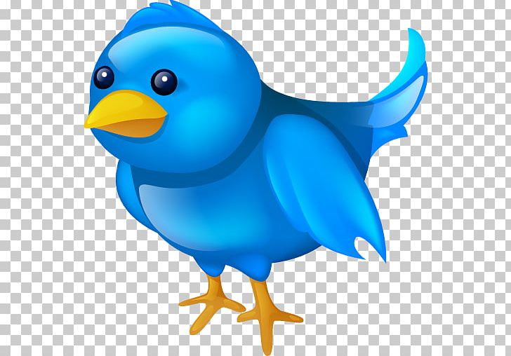 Computer Icons Social Media Blog PNG, Clipart, Animal Figure, Beak, Bird, Blog, Chicken Free PNG Download